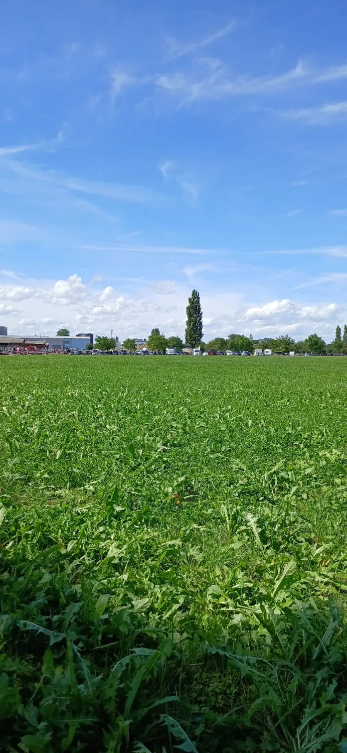 An empty green field in the foreground with the airfield buildings and the crowd reduced to a line on the horizon
