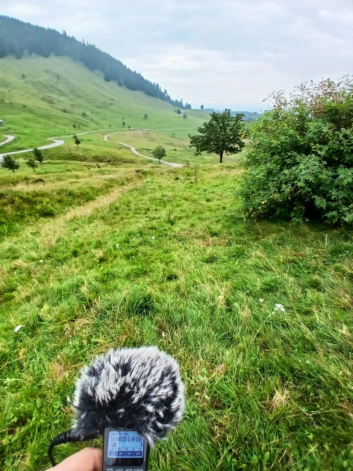 A recorder in its windshield lying in long meadow grass, hills and a path behind it